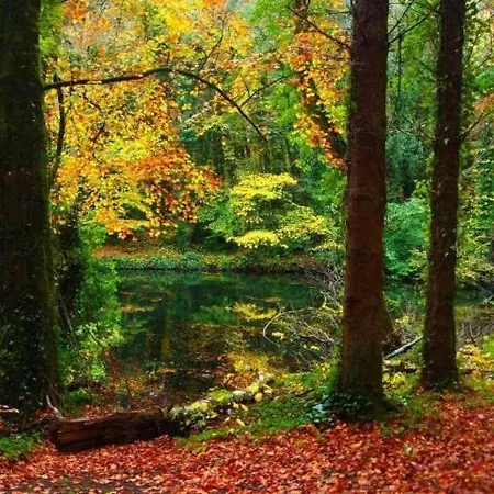 Casa vacanze Belleek