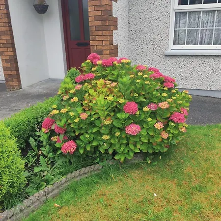 Belleek