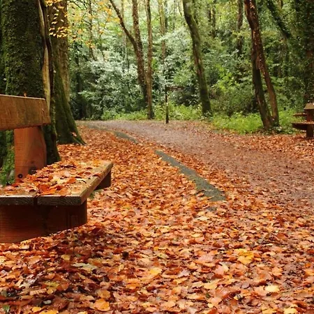 Casa vacanze Belleek Ballina (Mayo)