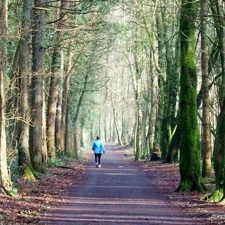 Belleek * Ballina (Mayo)