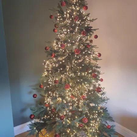 Belleek Dom wakacyjny *