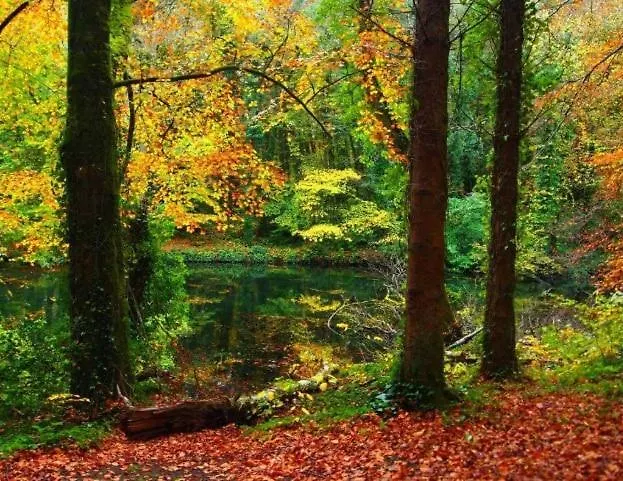 Дом отдыха Belleek