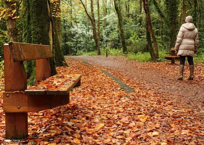 펜션 Belleek 발리나