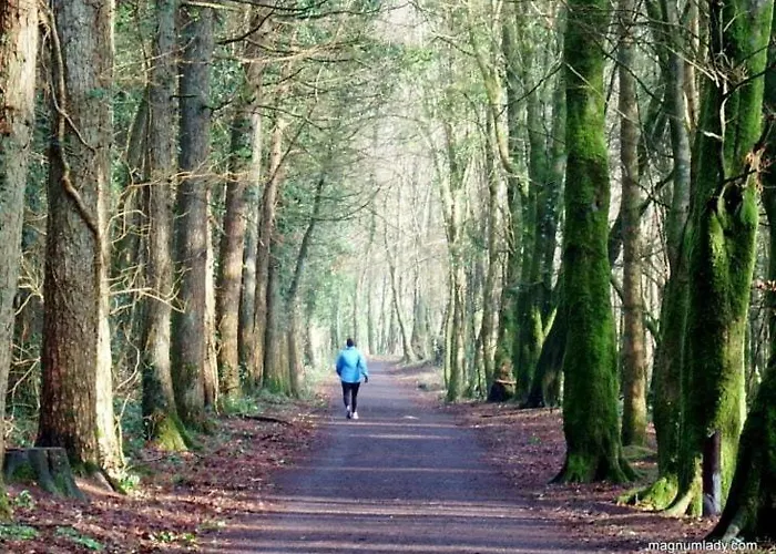 Belleek * Баллина